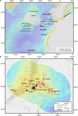 Diversity, Distribution and Phylogenetic Relationships of Deep-Sea Lithistids (Porifera, Heteroscleromorpha) of the Azores Archipelago